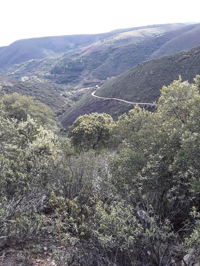 Casa Rural Costanilla San Miguel de Valero المظهر الخارجي الصورة
